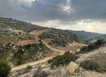 Mixed Use Land for Sale in Hebron Dura