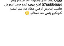 بيع قطعة ارضية جهة تطوان 0766884664لمن يهمهو لأمر بيع قطعة ارضية جهة تطوان 0766884664لمن يهمهو لأمر
