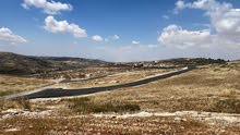 Residential Land for Sale in Amman Husban