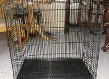 stainless steel cage 1 time use for S or M size pets stainless steel cage 1 time use for S or M size pets