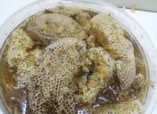 عسل برم ابو طويق عسل برم ابو طويق