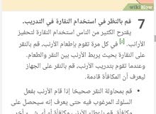 تعليم الارنب تعليم الارنب