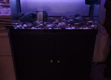 Clean Aquarium 1 month used Clean Aquarium 1 month used