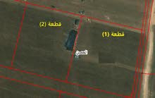 Farm Land for Sale in Irbid Al Husn