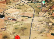 Farm Land for Sale in Amman Zuwayza