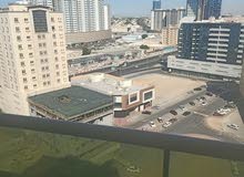 غرفه وصاله للايجار السنوي في عجمان مقابل فندق رمادا بلاك غرفه وصاله للايجار السنوي في عجمان مقابل فندق رمادا بلاك