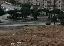 شقه مقابل دوار النخيل