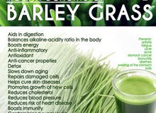Santey barley Santey barley