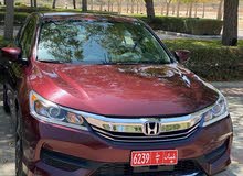 هوندا اكورد للإيجار  Honda Accord car rental