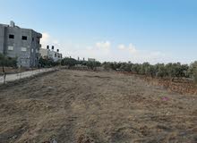 Residential Land for Sale in Jenin Al-Zaytoona