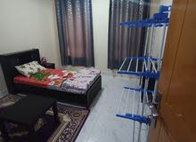 Furnished Monthly in Sharjah Other