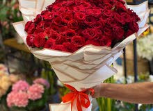 مجود 15جوز حمام بلدي مع زغاليل كلو شغال موجود في الزرقاء