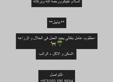 مطلوب عامل مطلوب عامل