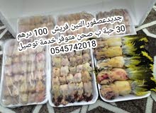 دفعة جديده عصفور التين 100 درهم خدمة التوصيل في جميع الإمارات للطلب 0545742018 دفعة جديده عصفور التين 100 درهم خدمة التوصيل في جميع الإمارات للطلب 0545742018
