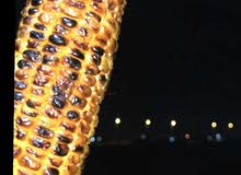 ذره حلوه ذره حلوه