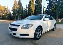 Chevrolet Malibu Hybrid in Amman
