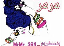 كناري هولندي كناري هولندي