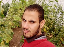 مهندس زراعي مصري يبحث عن عمل مهندس زراعي مصري يبحث عن عمل