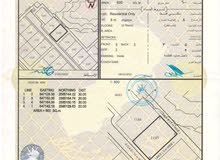 Residential Land for Sale in Muscat Amerat