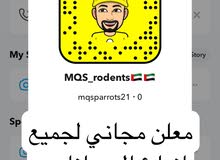 معلن مجاني لجميع انواع الحلال و الحيوانات معلن مجاني لجميع انواع الحلال و الحيوانات