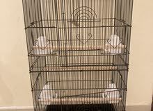 للبيع قفص طيور كبير For sale big bird cage للبيع قفص طيور كبير For sale big bird cage