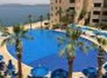 1 Bedroom Farms for Sale in Jordan Valley Dead Sea