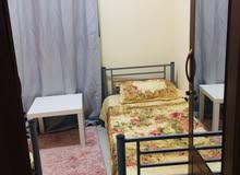 بارتشينات جديده بشقه نظيفه مساحات مختلفه بأسعار مناسبه بارتشينات جديده بشقه نظيفه مساحات مختلفه بأسعار مناسبه