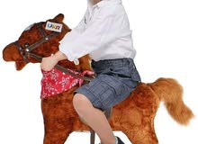 rocking horse  available in stock and single