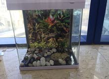 Fish tank 100Aed Fish tank 100Aed