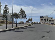 Residential Land for Sale in Amman Al-Dmenah