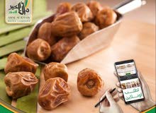 تمر أمل الخير تمر أمل الخير