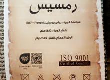 سجاد رمسيس