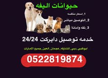 مندوب توصيل حيوانات اليفه مندوب توصيل حيوانات اليفه