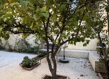 120m2 2 Bedrooms Apartments for Rent in Amman Jabal Al-Lweibdeh