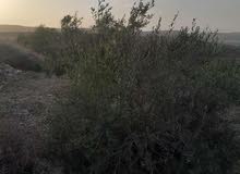 Mixed Use Land for Sale in Hebron Surif