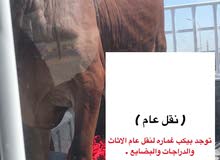 نقل عام نقل اي شي نقل عام نقل اي شي