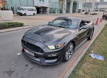 Mustang Gt V8 Premium Convertible FULL Option