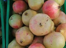 رمان الجبل الأخضر للبيع رمان الجبل الأخضر للبيع