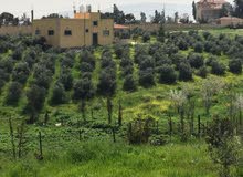 160m2 3 Bedrooms Villa for Sale in Zarqa Sarout