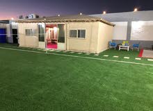 شاليه للايجار استراحة زيلامسي القوزين شاليه للايجار استراحة زيلامسي القوزين