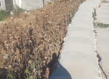 Commercial Land for Sale in Bethlehem AlWalaja