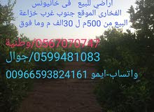 للبيع أراضي فى خانيونس الفخاري جنوب غرب خزاعة للبيع أراضي فى خانيونس الفخاري جنوب غرب خزاعة