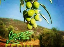 زيت زيتون عفريني عصرة اولى زيت زيتون عفريني عصرة اولى