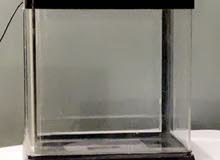 احواض اسماك احواض اسماك