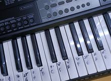 اورج  اورق اورك بيانو Casio ctx 800