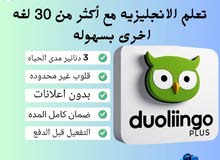 اشتراك برنامج دولينغو مدى الحياه فقط 3  دنانير  اشتراك برنامج كانفا برو مدى الحياه فقط دينارين