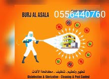 شركة الأصالة لتنظيف و تعقيم المنازل شركة الأصالة لتنظيف و تعقيم المنازل