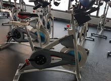 Schwinn AC Sport with Carbon Blue Belt Schwinn AC Sport with Carbon Blue Belt