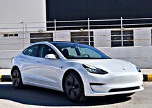 Tesla Model 3 Standard plus (2020)
