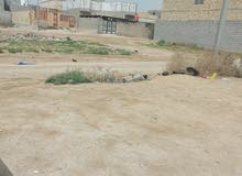 قطعة أرض زراعي صرف في منطقه الصقر قرب المدارس والمستوصف والارض مدفونه